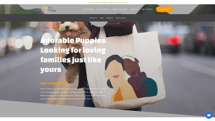 Cvdpuppies.com - Maltipoo Puppy Scam Review