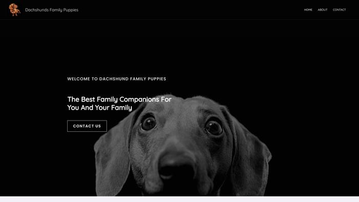 Dachshundfamilypuppies.com - Dachshund Puppy Scam Review