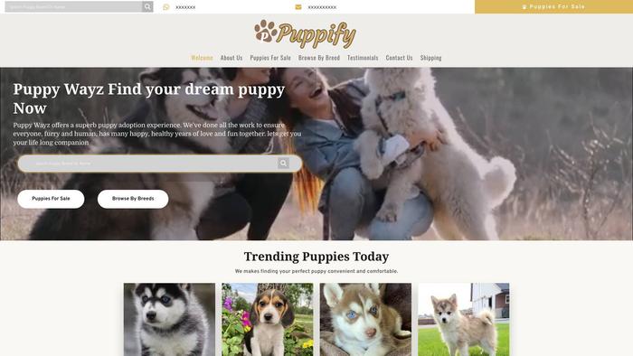 Daisyhillpuppy.com - Husky Puppy Scam Review