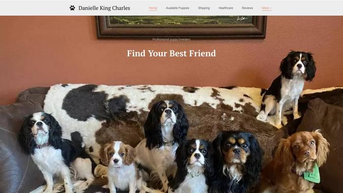 Daniellekingcharlesspaniel.us - Cavalier King Charles Spaniel Puppy Scam Review