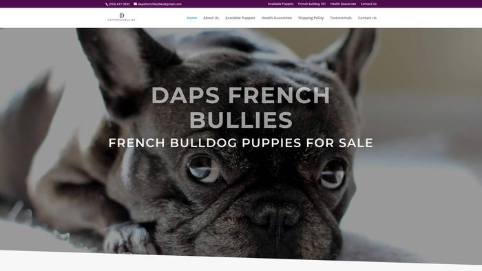 Dapsfrenchbullies.com - French Bulldog Puppy Scam Review