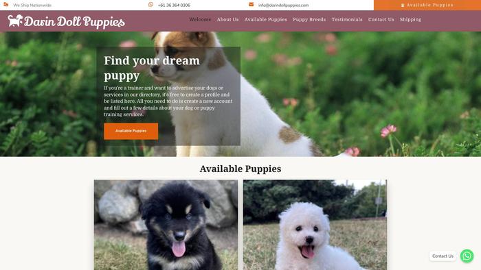 Darindollpuppies.com - Bichon Frise Puppy Scam Review