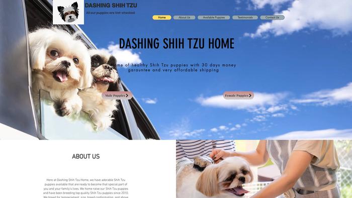 Dashingshihtzu.com - Shihtzu Puppy Scam Review