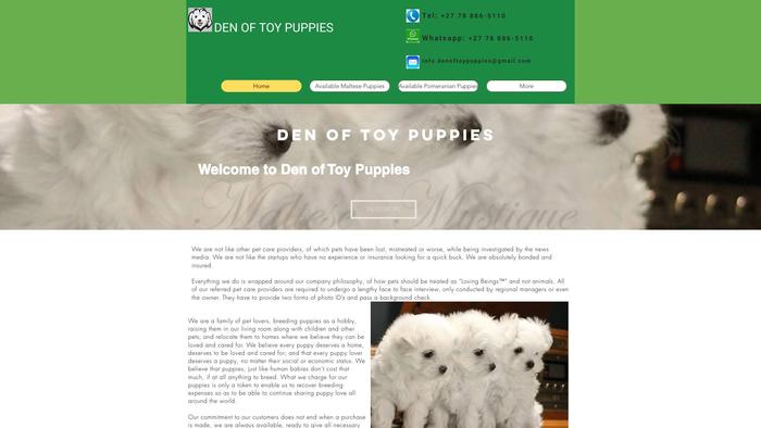 Denoftoypuppies.com - Maltese Puppy Scam Review