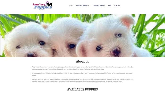 Desmondteacuphome.net - Yorkshire Terrier Puppy Scam Review