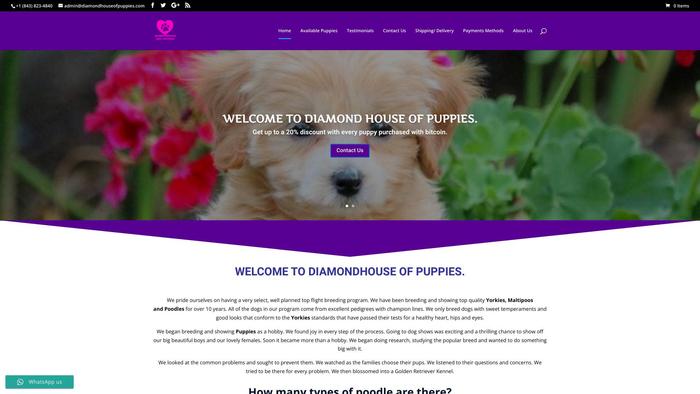 Diamondhouseofpuppies.com - Yorkshire Terrier Puppy Scam Review