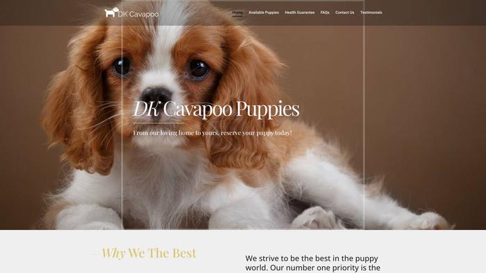 Dkhomecavapoopuppies.com - Cavapoo Puppy Scam Review