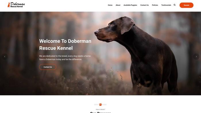 Dobermanrescuekennel.com - Doberman Pinscher Puppy Scam Review