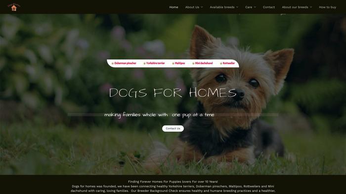 Dogsforhomes.com - Maltipoo Puppy Scam Review