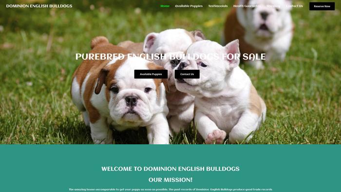 Dominionenglishbulldog.com - English Bulldog Puppy Scam Review