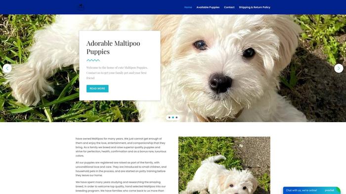 Dreammaltipoo.com - Maltipoo Puppy Scam Review