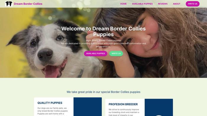 Dreamsbordercollieshomes.com - Bordercollie Puppy Scam Review