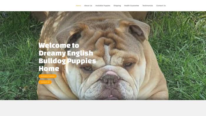 Dreamyenglishbulldogs.com - English Bulldog Puppy Scam Review