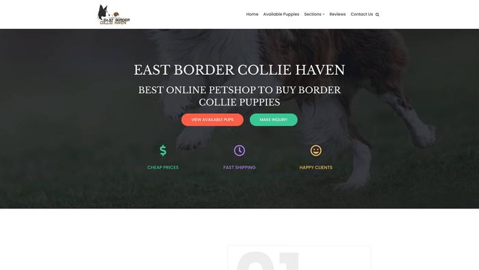 Eastbordercolliehaven.com - Bordercollie Puppy Scam Review