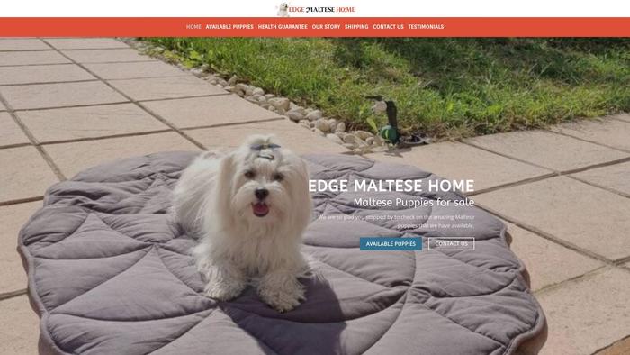 Edgemaltesehome.com - Maltese Puppy Scam Review