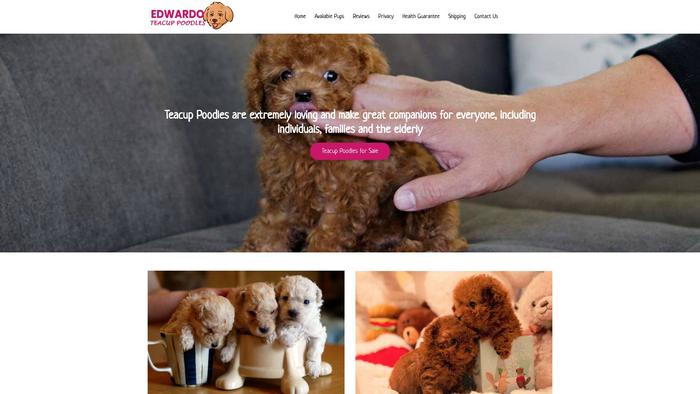 Edwardoteacuppoodles.com - Poodle Puppy Scam Review