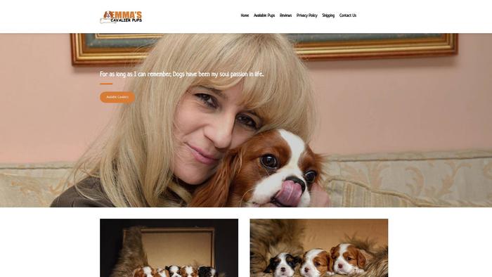 Emmascavalierpups.com - Cavalier King Charles Spaniel Puppy Scam Review