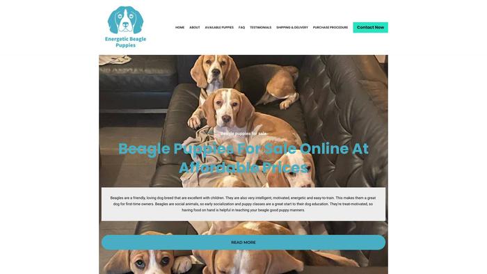 Energeticbeagles.com - Beagle Puppy Scam Review