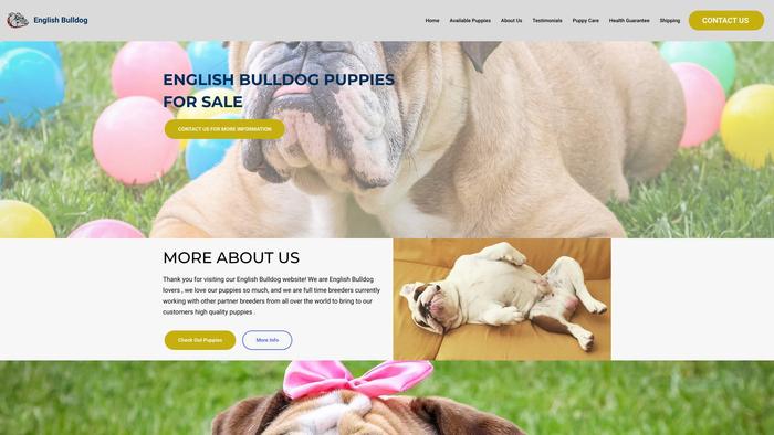 Englishbulldogpupyhome.net - English Bulldog Puppy Scam Review