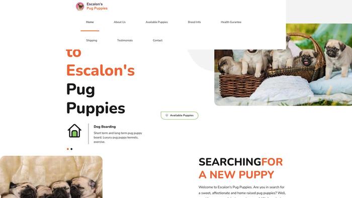 Escalonspugpuppies.com - Pug Puppy Scam Review