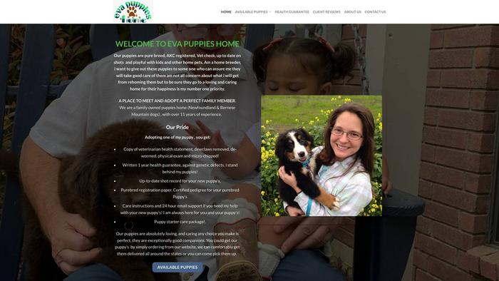 Evapuppieshome.com - Bernese Mountain Dog Puppy Scam Review