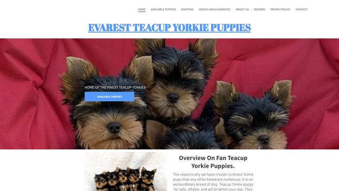 Evarestyorkies.com - Yorkshire Terrier Puppy Scam Review