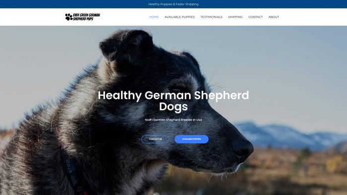 Evergreengermanshepherdpups.com - Germanshepherd Puppy Scam Review