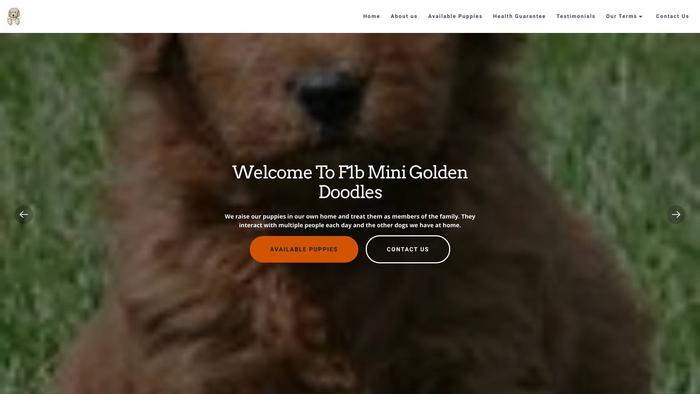 F1bminigoldendoodles.com - Golden Doodle Puppy Scam Review