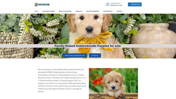 F1goldendoodlehome.com - Golden Doodle Puppy Scam Review