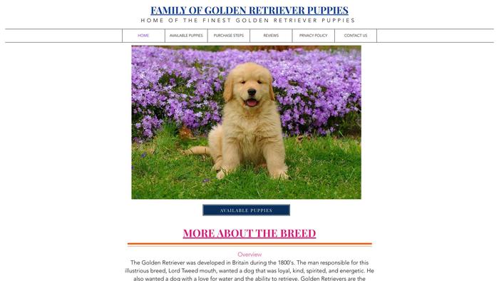 Familyofgoldenretrieverpuppies.com - Golden Retriever Puppy Scam Review