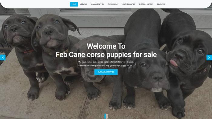 Febuacorsopuppies.com - Cane Corso Puppy Scam Review