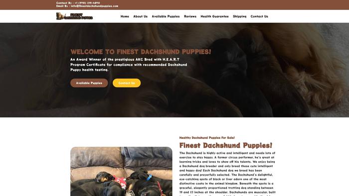 Finestdachshundpuppies.com - Dachshund Puppy Scam Review