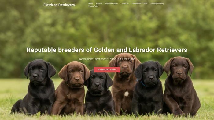 Flawlessretrievers.com - Golden Retriever Puppy Scam Review