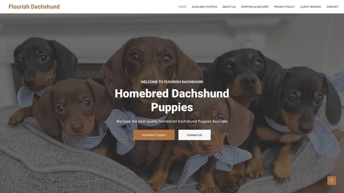 Flourishdachshund.com - Dachshund Puppy Scam Review