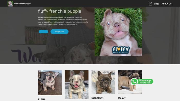 Fluffyfrenchiepuppie.com - French Bulldog Puppy Scam Review