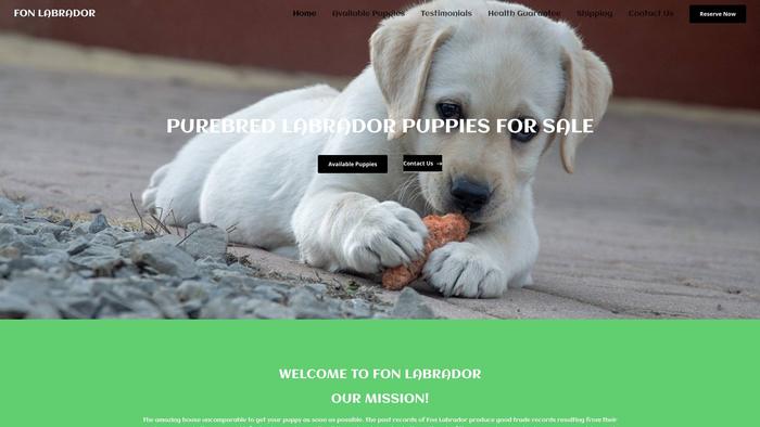 Fonlabrador.com - Labrador Puppy Scam Review