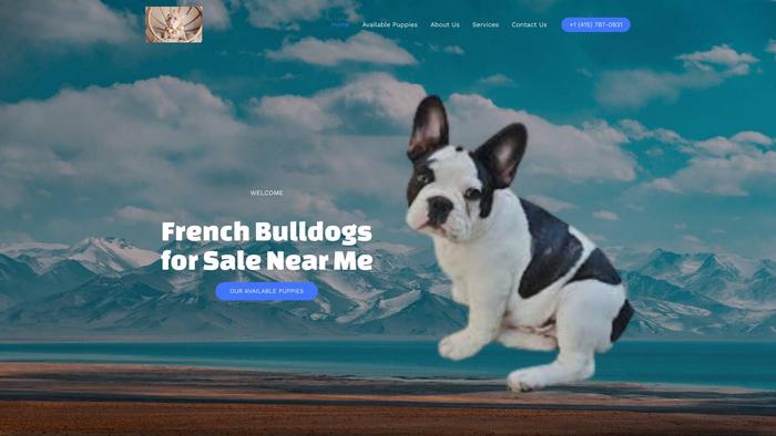 Frenchbulldogforsalenearme.com - French Bulldog Puppy Scam Review