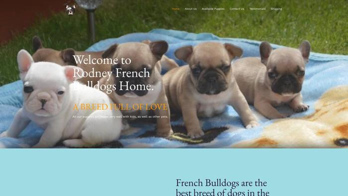 Frenchieshubpuppies.com - French Bulldog Puppy Scam Review