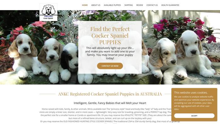 Friendlycockerspanielpups.com - Cockerspaniel Puppy Scam Review