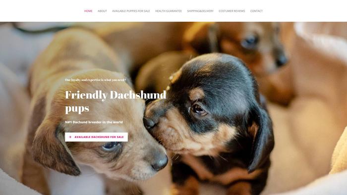 Friendlydachshundpups.com - Dachshund Puppy Scam Review