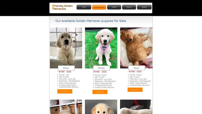 Friendlygoldenretriever.com - Golden Retriever Puppy Scam Review