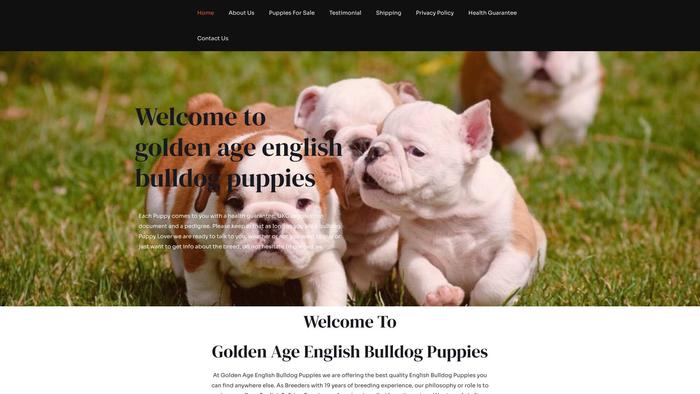 Goldenageenglishbulldogpuppies.online - English Bulldog Puppy Scam Review