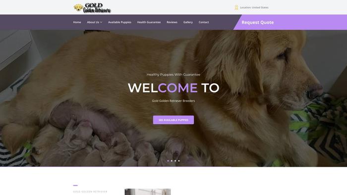 Goldgoldenretriverbreeders.com - Golden Retriever Puppy Scam Review