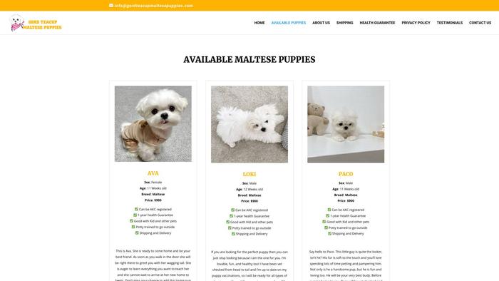 Gordteacupmaltesepuppies.com - Maltese Puppy Scam Review