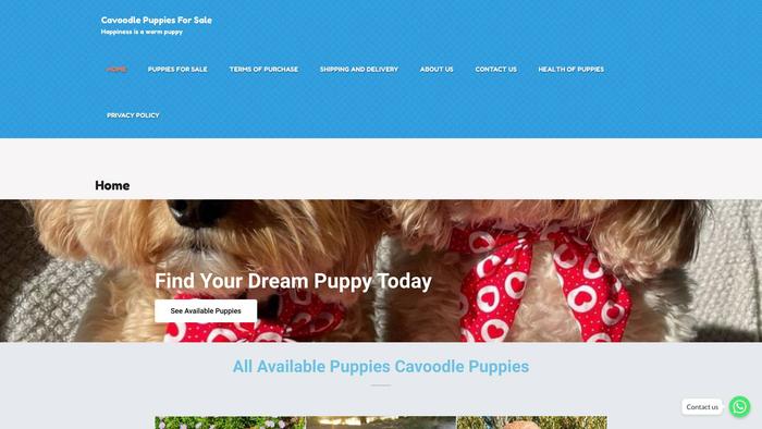 Gracecavoodlepuppies.store - Cavapoo Puppy Scam Review