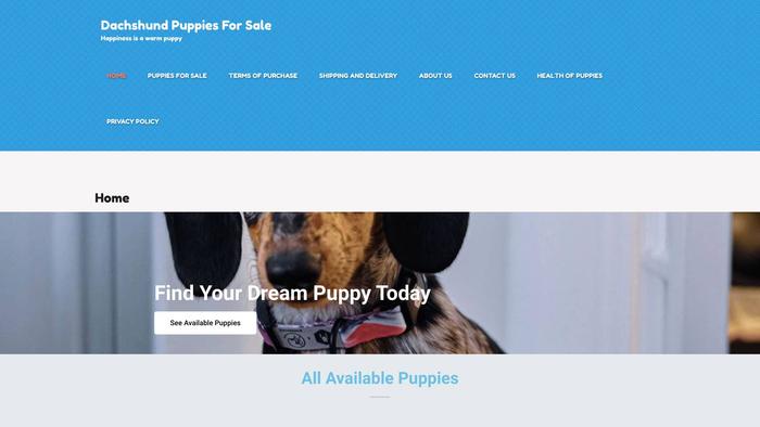 Gracedachshundpuppies.store - Dachshund Puppy Scam Review