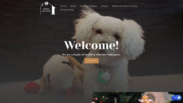 Happymaltipoos.com - Maltipoo Puppy Scam Review