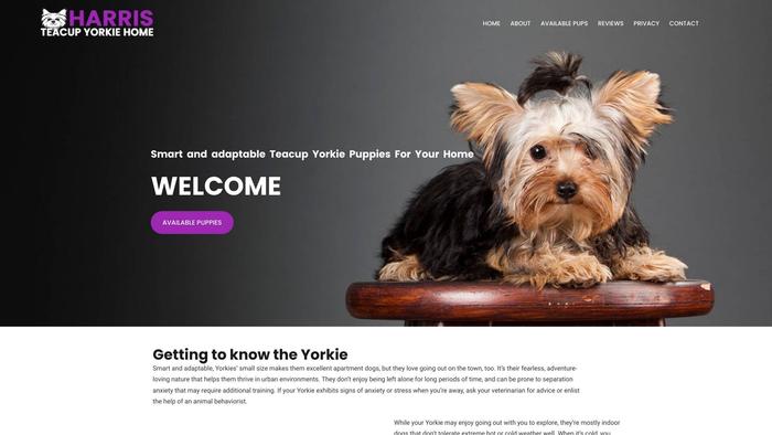 Harristeacupyorkiehome.com - Yorkshire Terrier Puppy Scam Review