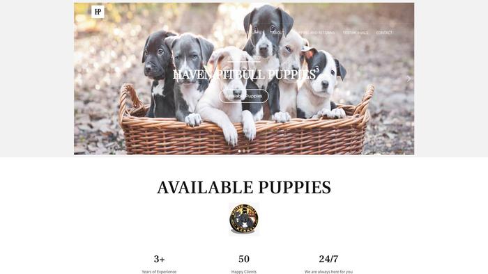 Havenpitbullpups.com - Pit Bull Puppy Scam Review