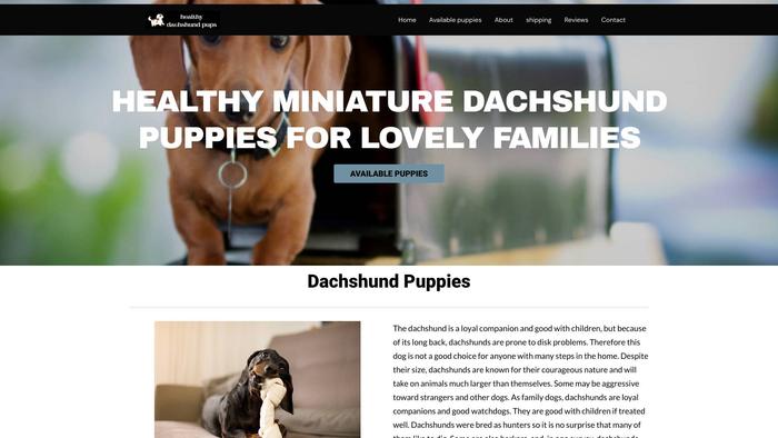 Healthyminiaturedachshundpuppies.com - Dachshund Puppy Scam Review